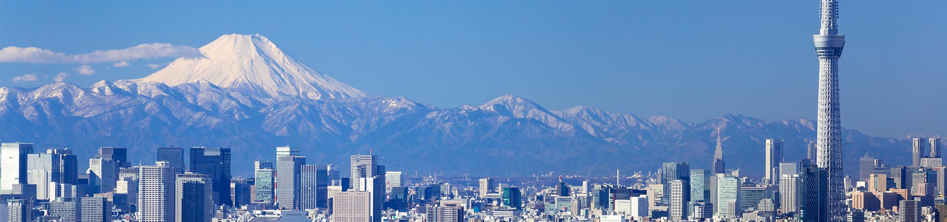 Honeywell Buildings JA About us Page